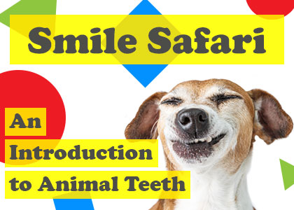 Smile Safari: An Introduction to Animal Teeth