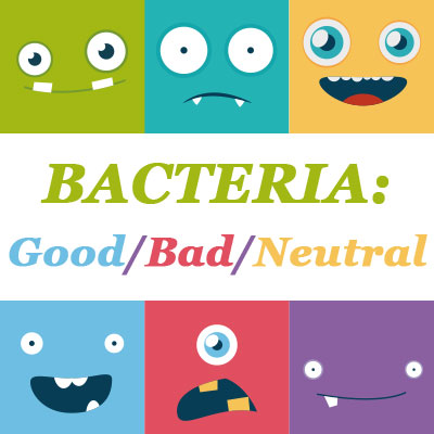 Bacteria: The Good, the Bad & the Neutral