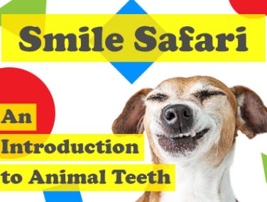 Smile Safari: An Introduction to Animal Teeth
