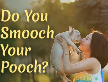 Do You Smooch Your Pooch?